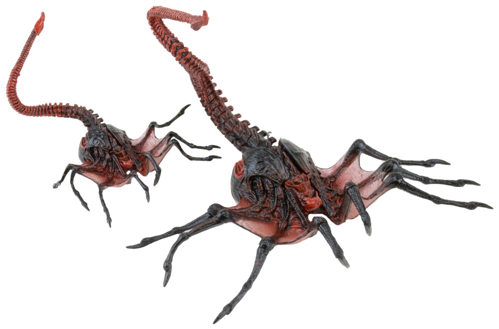Фигурка Aliens: Series 10 – Alien Queen Facehugger (17 см) Фигурка Aliens: Series 10 – Alien Queen Facehugger (17 см)Фигурка Alien Queen Facehugger создана по мотивам фильма «Хищник» и воплощает собой королевского лицехвата – вторую стадию развития Ксеноморфа, предназначенную для резкого перемещения, захвата будущего носителя введения его в кому и внедрения эмбриона.<br>
