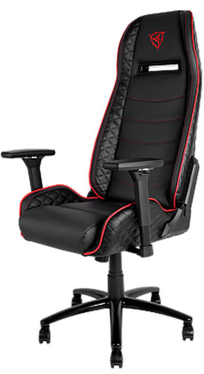 Геймерское кресло ThunderX3 TGC40-BR Геймерское кресло ThunderX3 TGC40-BRСозданное для игры и работы кресло ThunderX3 TGC40-BR – это уникальный дизайн, абсолютный комфорт в течение всего дня, черная мягкая надежная экокожа и металлическая рама.<br>