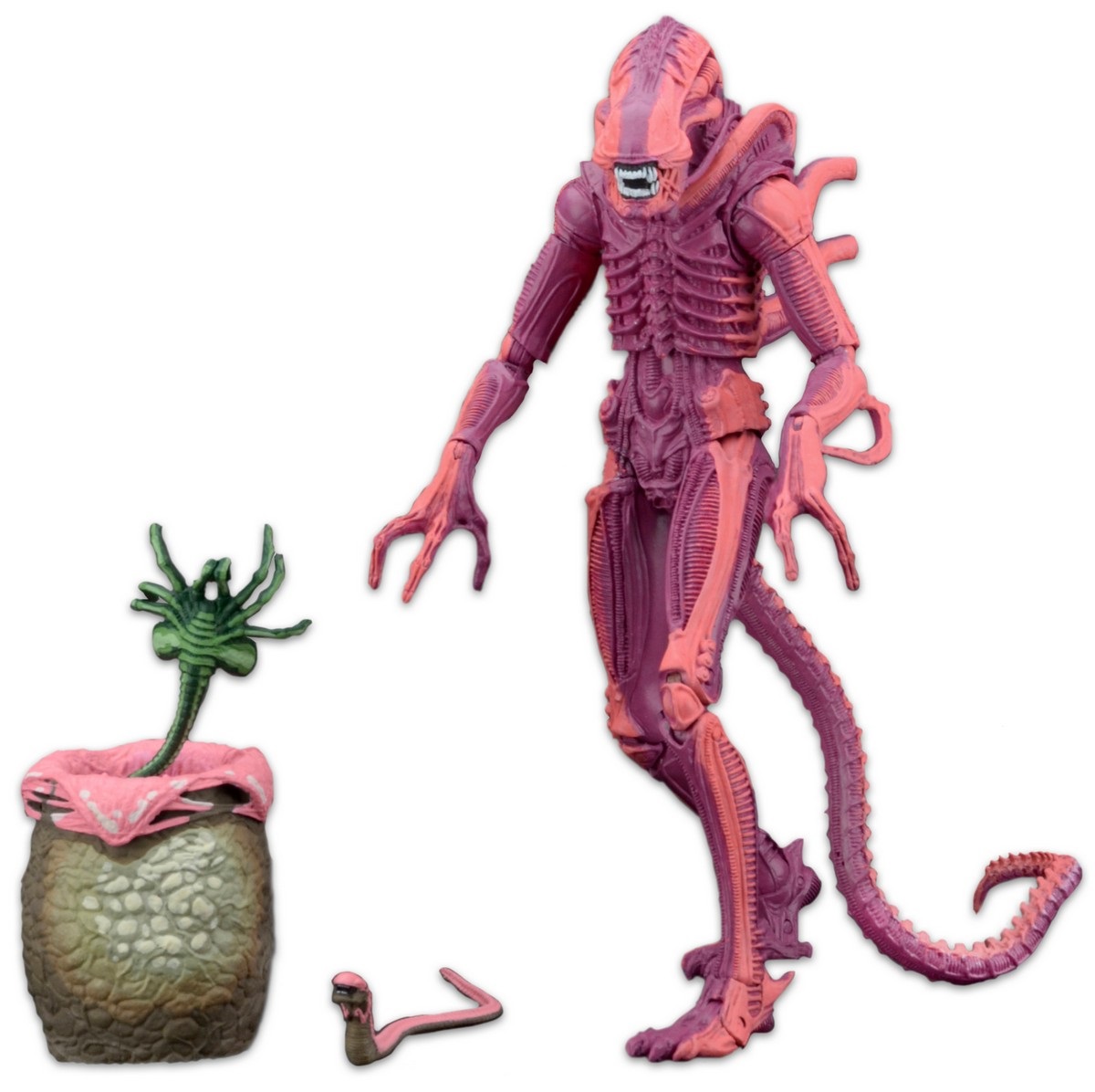 Фигурка Aliens: Xenomorph Warrior Arcade Appearance (17 см) Фигурка Aliens: Xenomorph Warrior Arcade Appearance (17 см)Фигурка Aliens: Xenomorph Warrior Arcade Appearance воплощает собой персонажа Warrior, который первый раз появился в аркадной игре Aliens в 1990 году.<br>