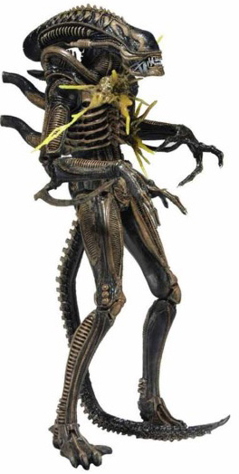Фигурка NECA: Aliens Series 12 – Xenomorph Warrior Battle Damaged (Brown) (18 см)
Фигурка NECA: Aliens Series 12 – Xenomorph Warrior Battle Damaged (Brown) (18 см)