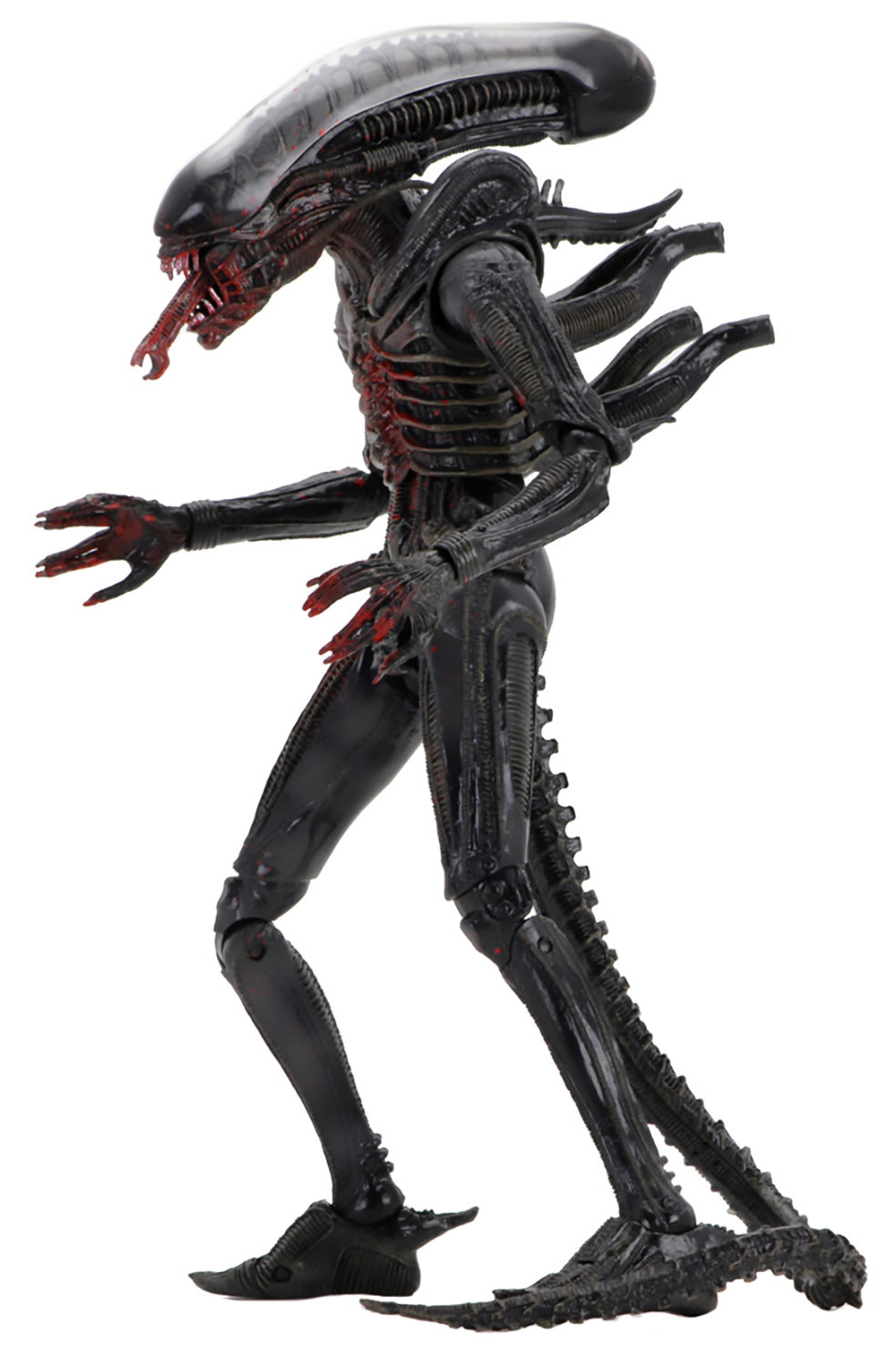Фигурка NECA Scale Action Figure: Alien 40th Anniversary – Xenomorph (18 см)
Фигурка NECA Scale Action Figure: Alien 40th Anniversary – Xenomorph (18 см)
