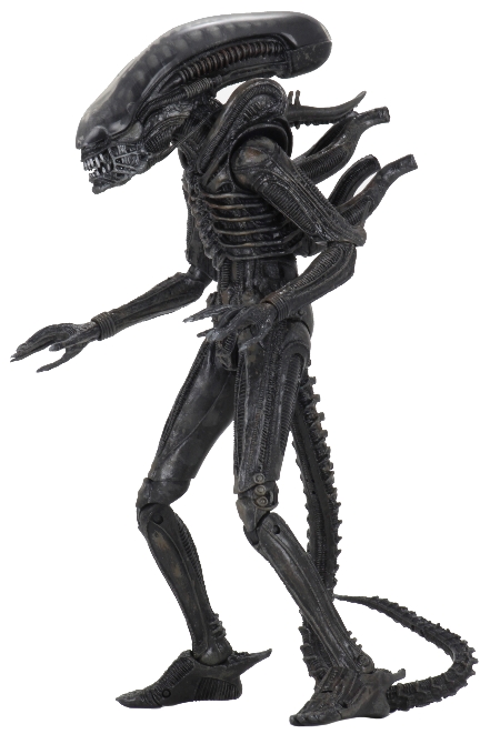 Фигурка NECA: Alien 40th Anniversary – Xenomorph Scale Action Figure Series 3 (17 см)
Фигурка NECA: Alien 40th Anniversary – Xenomorph Scale Action Figure Series 3 (17 см)