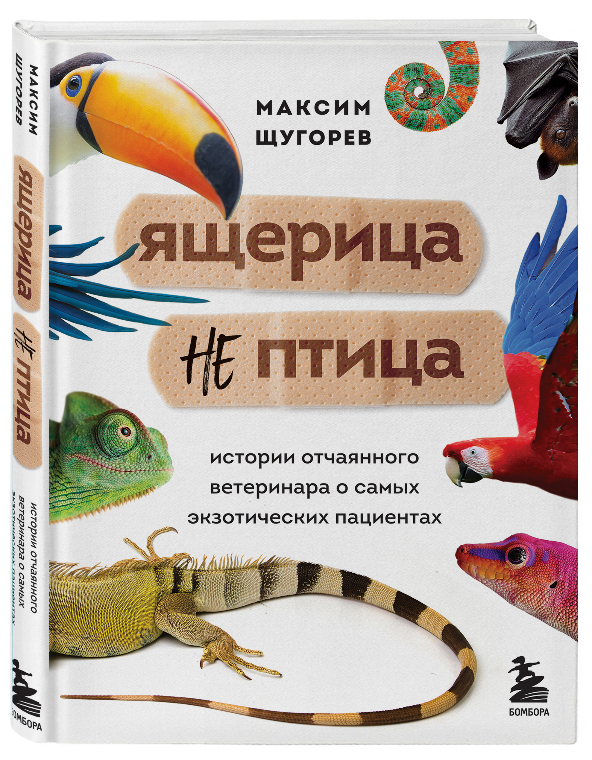 Ящерица не птица: Истории отчаянного ветеринара о самых экзотических пациентах
Ящерица не птица: Истории отчаянного ветеринара о самых экзотических пациентах