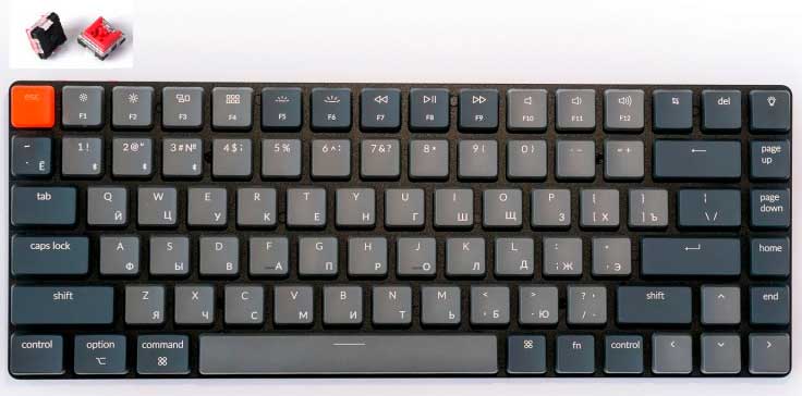 Клавиатура Keychron K3 Low Profile механическая, беспроводная, RGB, Red Switch, Light Gray
Клавиатура Keychron K3 Low Profile механическая, беспроводная, RGB, Red Switch, Light Gray