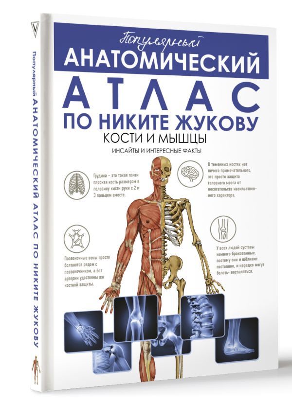 Популярный анатомический атлас по Никите Жукову: кости и мышцы. Инсайты и интересные факты
Популярный анатомический атлас по Никите Жукову: кости и мышцы. Инсайты и интересные факты
