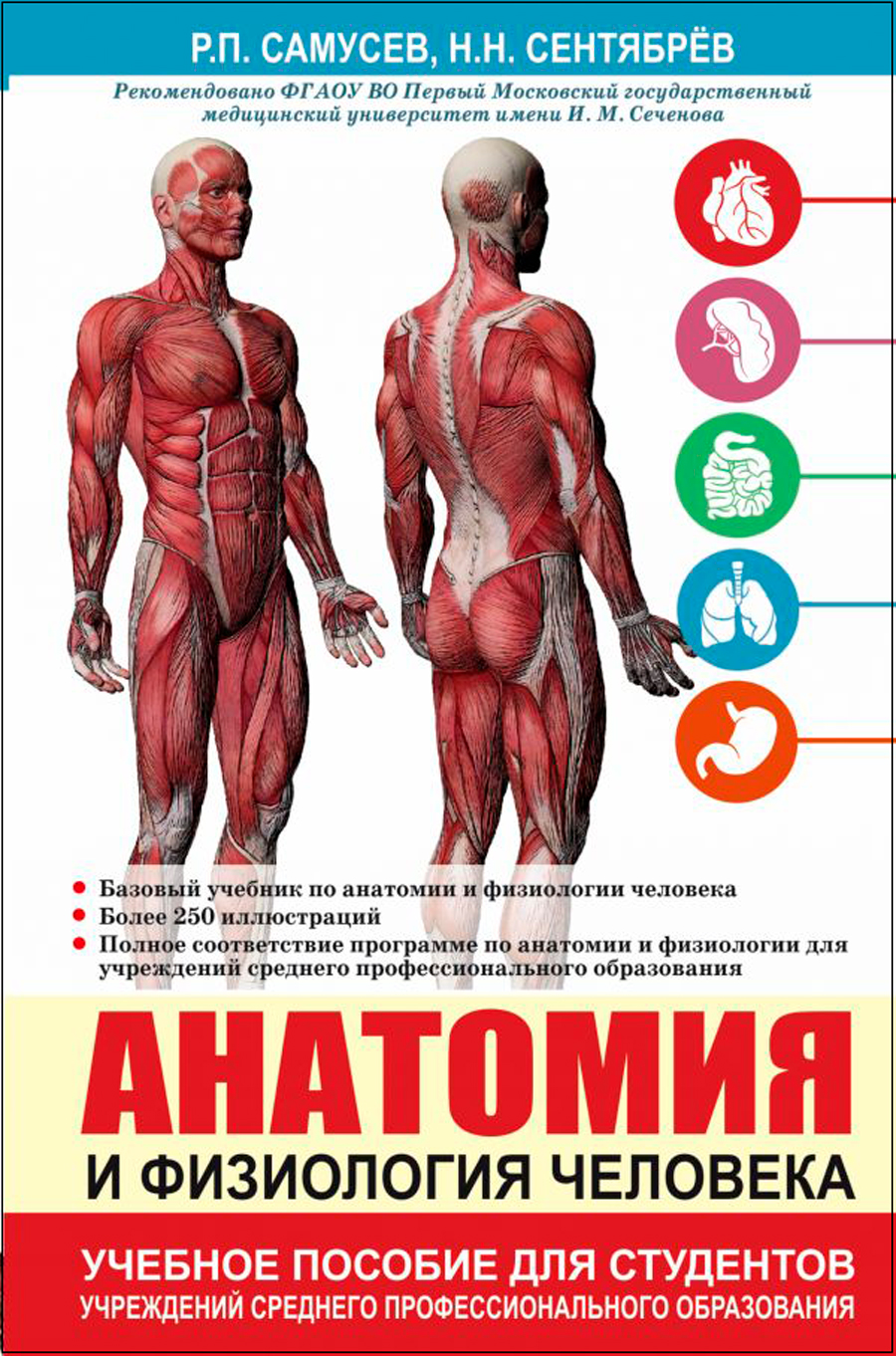 Анатомия и физиология человека: Учебное пособие для студентов учреждений среднего профессионального образования
Анатомия и физиология человека: Учебное пособие для студентов учреждений среднего профессионального образования
