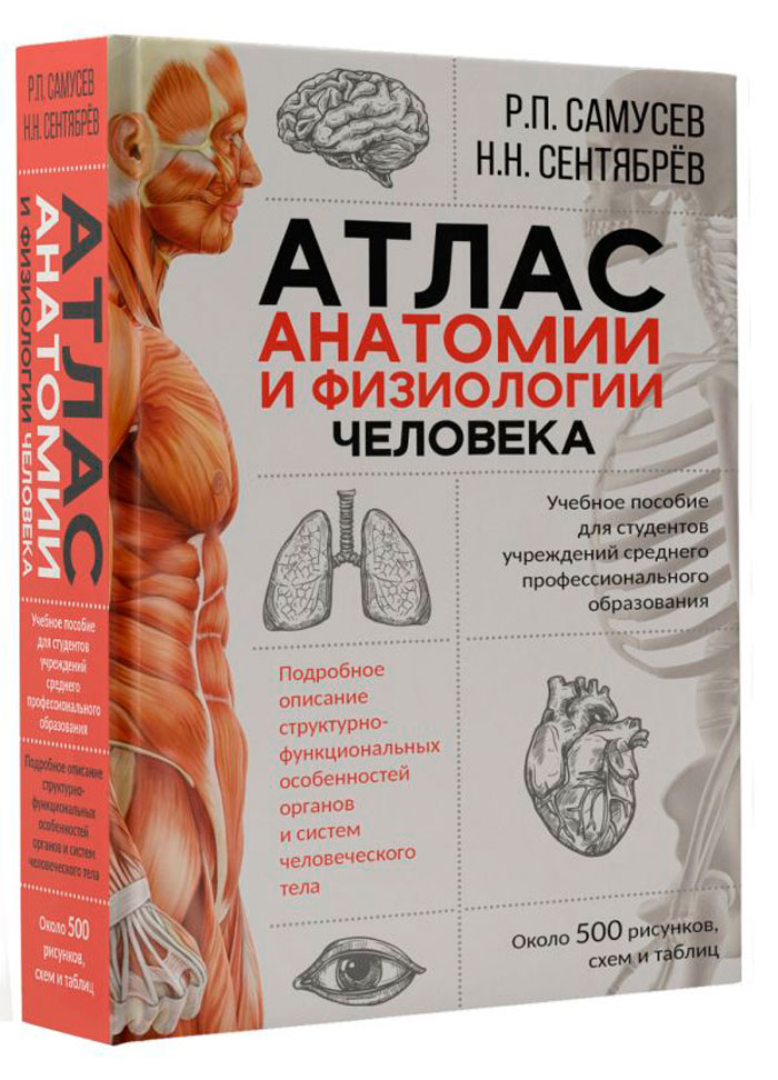 Атлас анатомии и физиологии человека: Учебное пособие для студентов учреждений среднего профессионального образования
Атлас анатомии и физиологии человека: Учебное пособие для студентов учреждений среднего профессионального образования