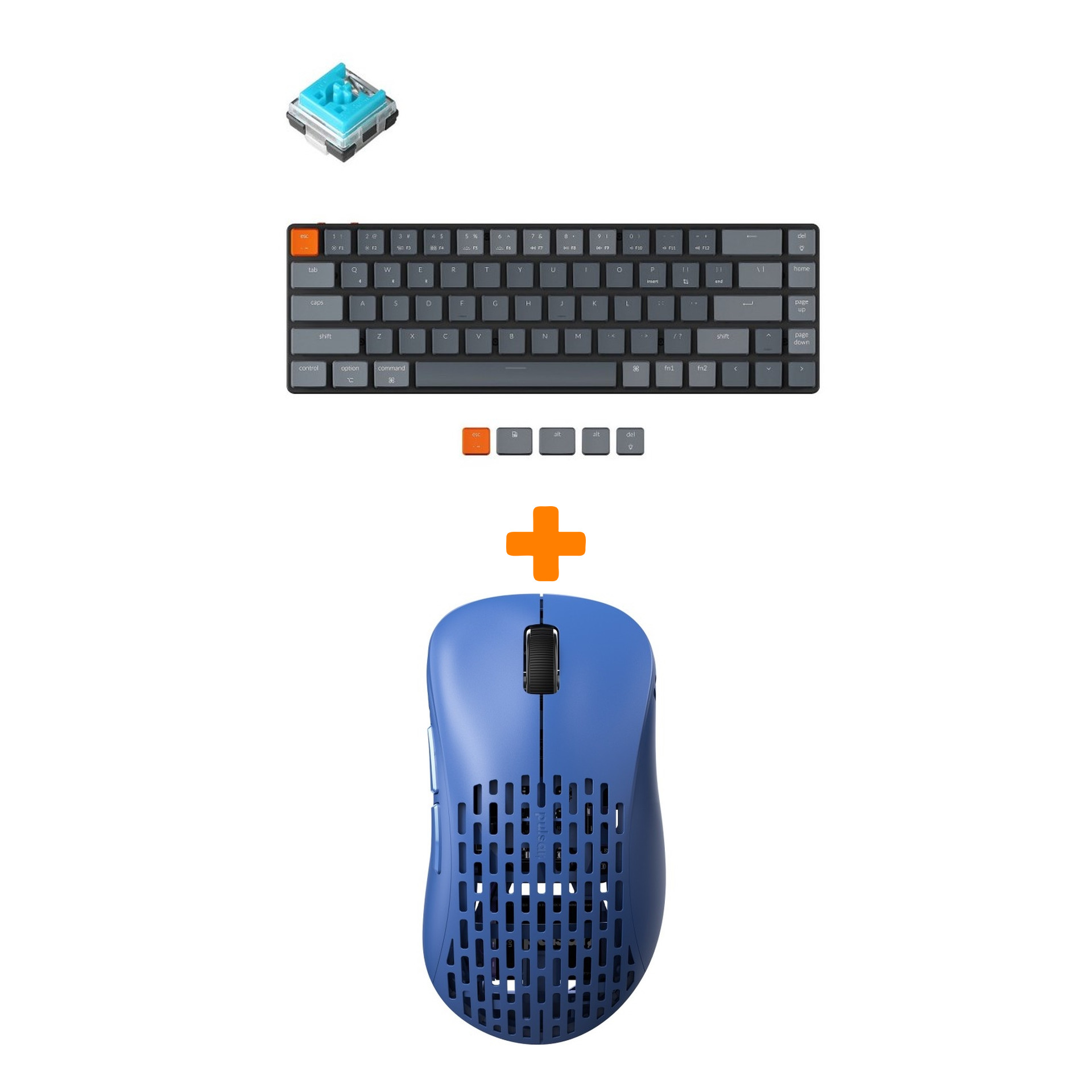 Набор Мышь Pulsar Xlite Wireless V2 Competition Blue + Клавиатура Keychron K7 Low Profile, RGB, Blue Switch
Набор Мышь Pulsar Xlite Wireless V2 Competition Blue + Клавиатура Keychron K7 Low Profile, RGB, Blue Switch