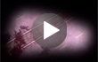 Call of Duty: Modern Warfare 2