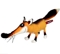 ������ ������� ���� ���� 12 ��