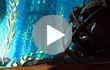 ������� ���� Bioshock 2