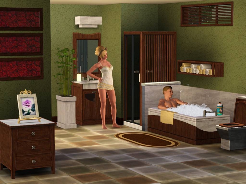 Игры - Компьютерные - Симулятор - The Sims 3