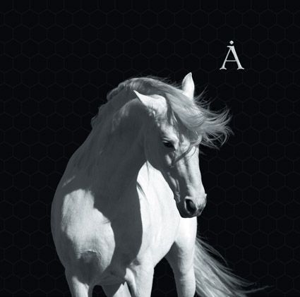 Аквариум. Лошадь белая (LP) Аквариум. Лошадь белая (LP)Представляем Аквариум. Лошадь белая – двадцать шестой «естественный» альбом группы.<br>