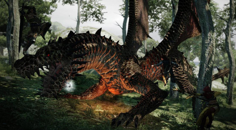 Dragons Dogma [PS3]