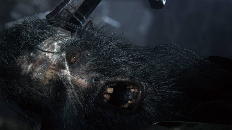 Bloodborne:  . Game of the Year Edition [PS4]