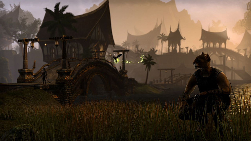 The Elder Scrolls Online: Summerset. Upgrade (  TESO) [PC,  ]
