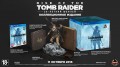 Rise of the Tomb Raider. 20- .   [PS4]