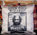  Harry Potter: Have You Seen This Wizard