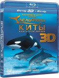   .   (Blu-ray 3D+2D)