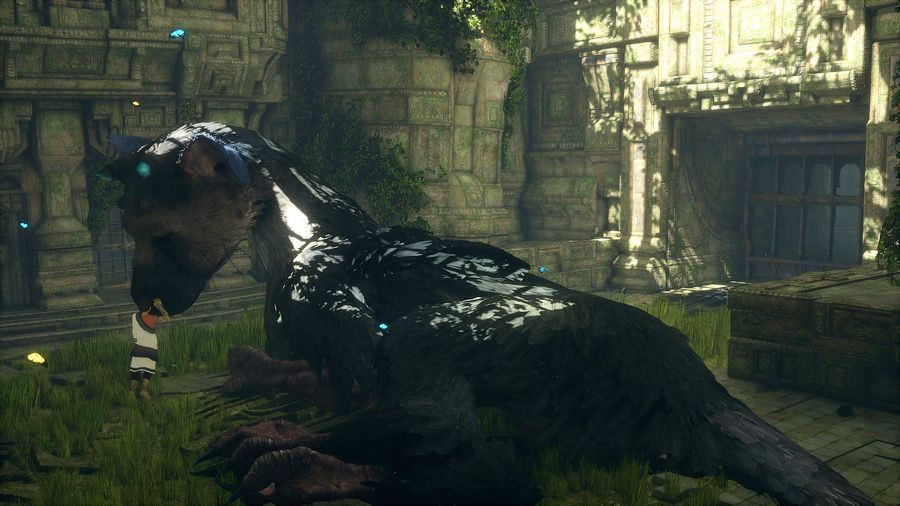 The Last Guardian ( ) [PS4]