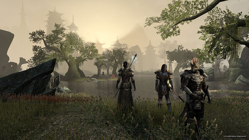 The Elder Scrolls Online: Gold Edition  [PC,  ]