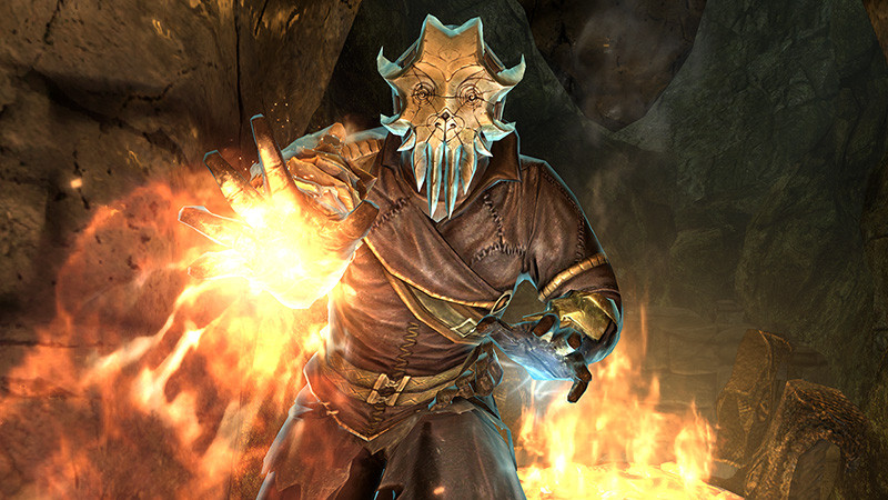 The Elder Scrolls V: Skyrim. Dragonborn.  [PC,  ]