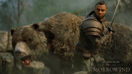 The Elder Scrolls Online: Morrowind. Upgrade [PC,  ]