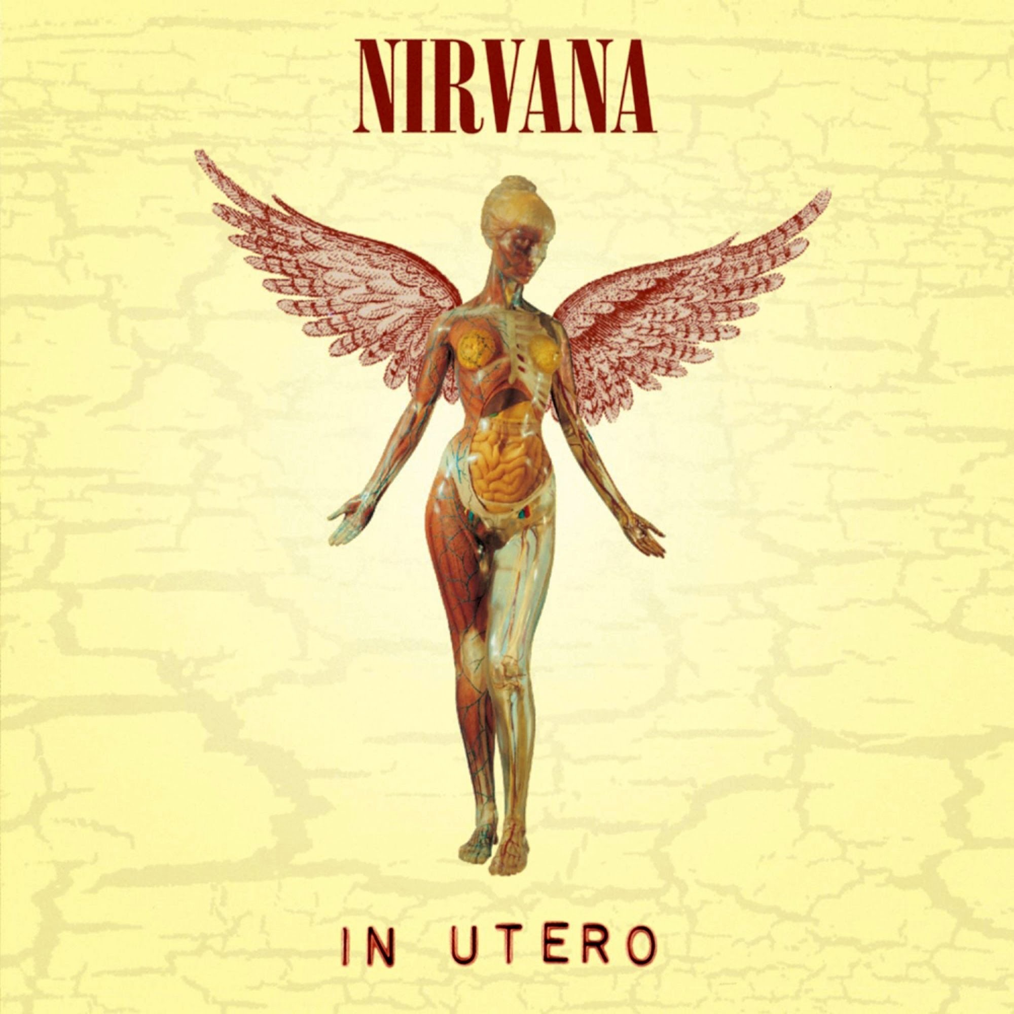 

Nirvana: In Utero – 20th Anniversary Edition (CD)