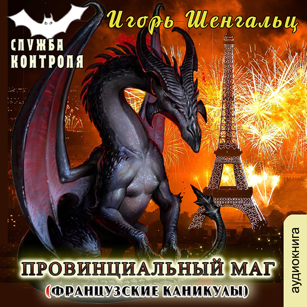 Служба контроля: Французские каникулы. Книга 6 (цифровая версия) (Цифровая версия)