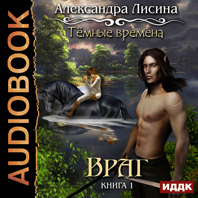 Темные времена: Враг. Книга 1 (цифровая версия) (Цифровая версия) цена и фото