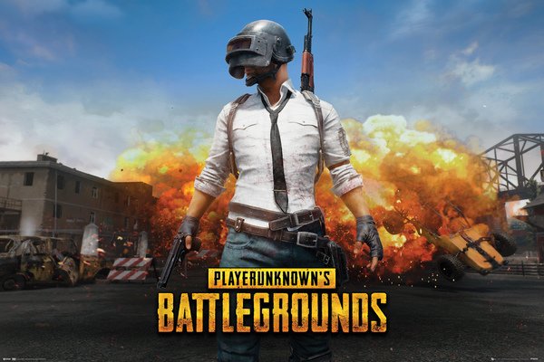 Плакат PlayerUnknowns Battlegrounds: Playerunknown (№191)