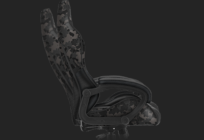 ����������� ���� �������