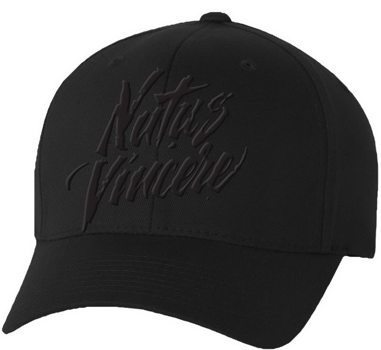 

Бейсболка Natus Vincere (чёрная)