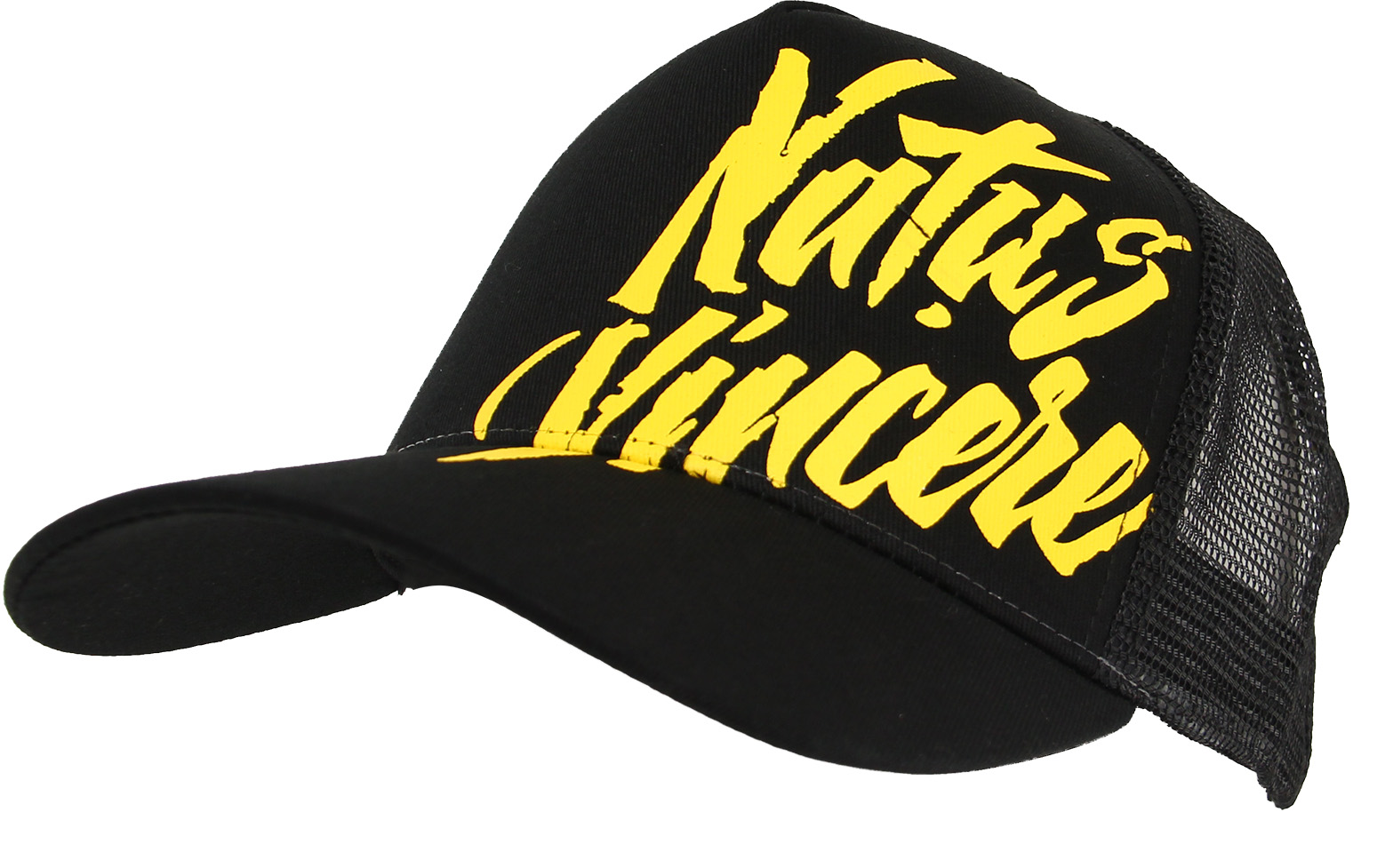

Бейсболка Natus Vincere с сеткой