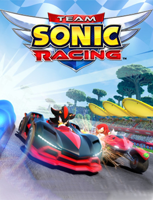 

Team Sonic Racing [PC, Цифровая версия] (Цифровая версия)