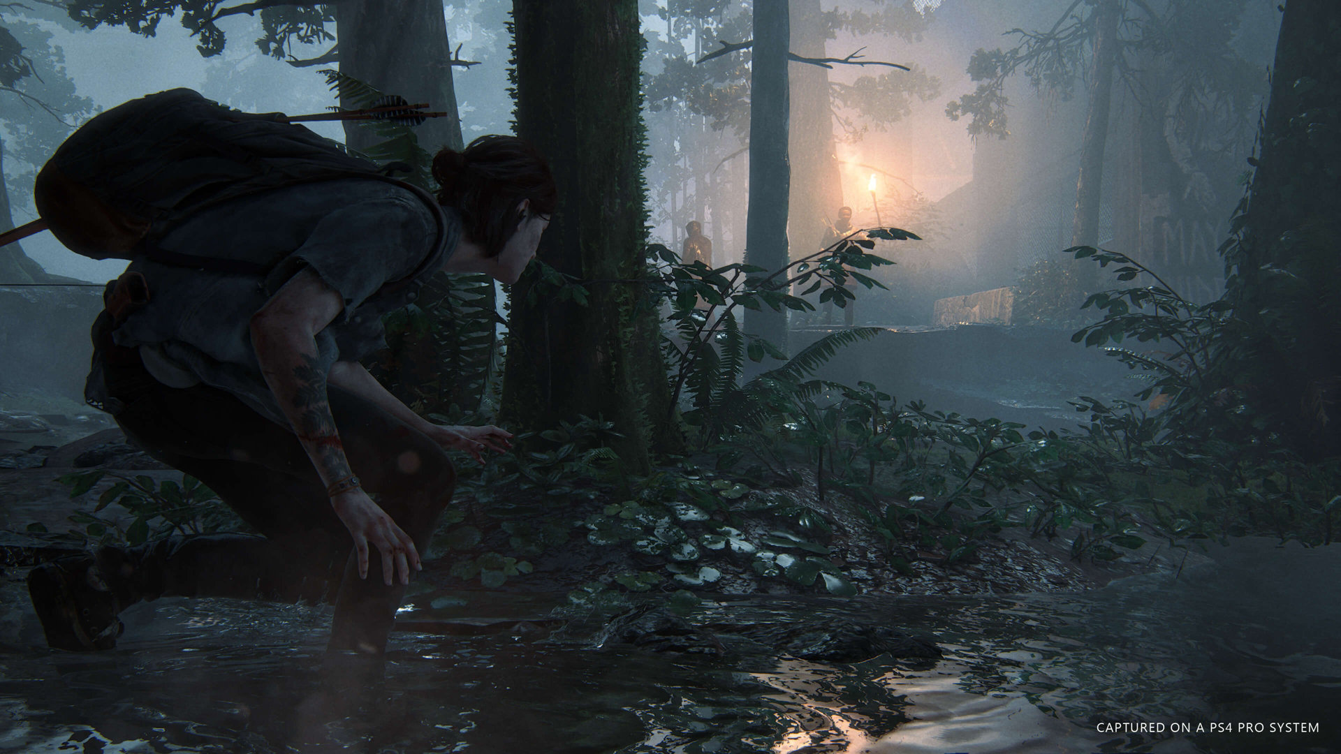 The last of us 2 2025 ps4 collector's edition