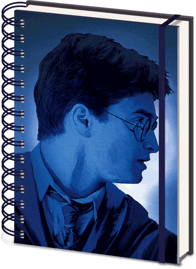 Ежедневник Harry Potter: Magic Portrait 3D от 1С Интерес