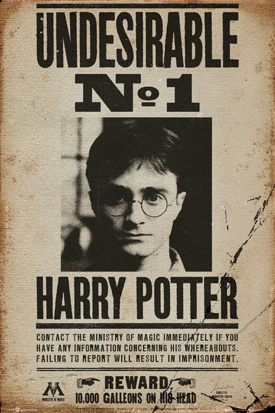 

Постер Harry Potter: Undesirable No 1