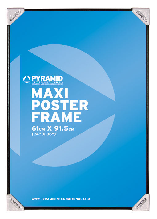 

Рамка Maxi Poster Frame (61х91.5 см)