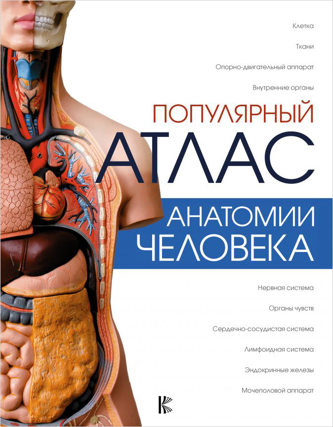 

Популярный атлас анатомии человека