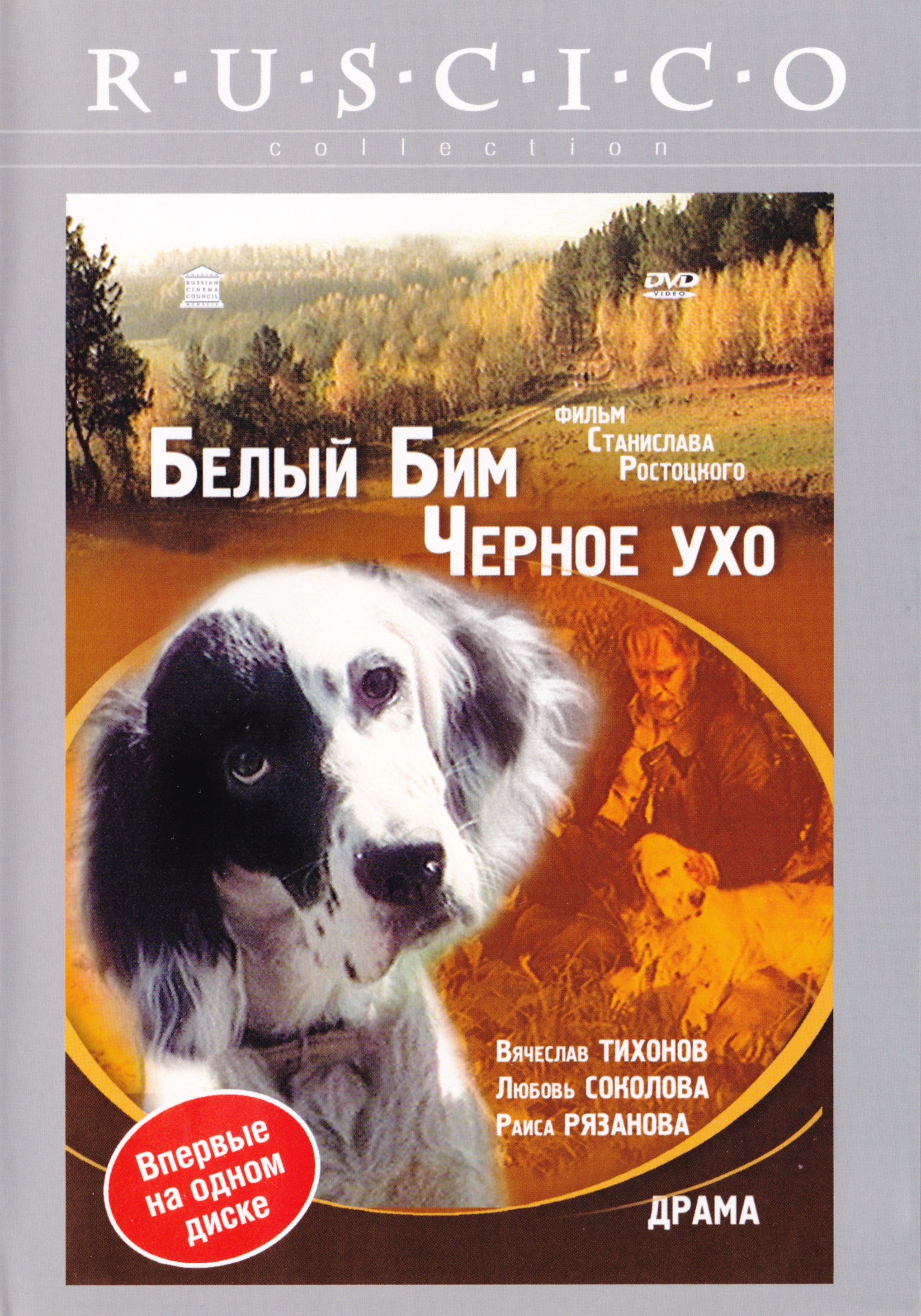 Кинохрестоматия: Начальная школа – Белый Бим Черное ухо (DVD)