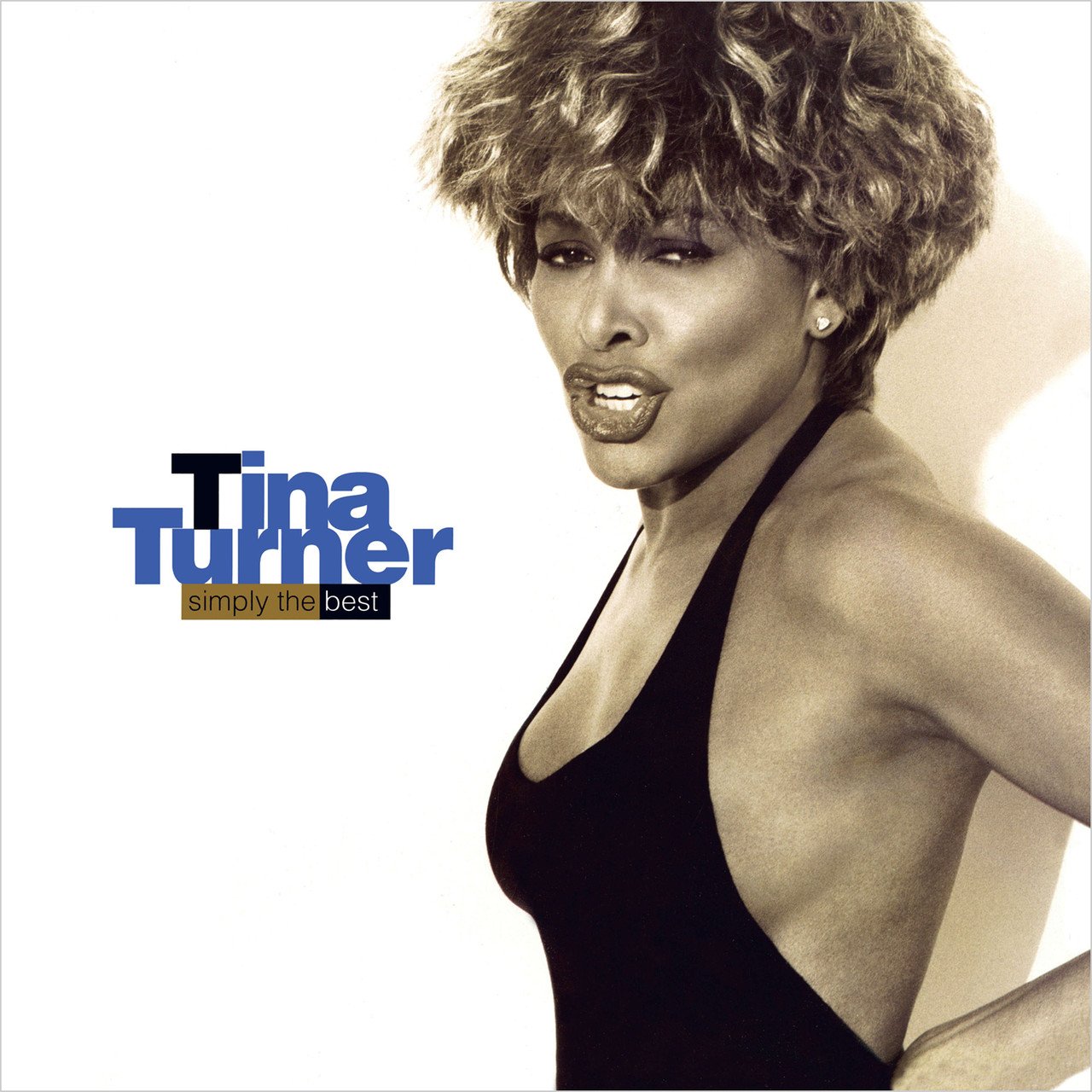 Tina Turner – Simply The Best (2 LP)