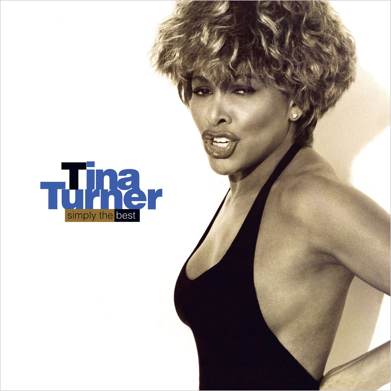 

Tina Turner – Simply The Best (2 LP)