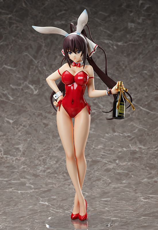 

Фигурка Infinite Stratos: Houki Shinonono – Bare Leg Bunny Ver. (45 см)