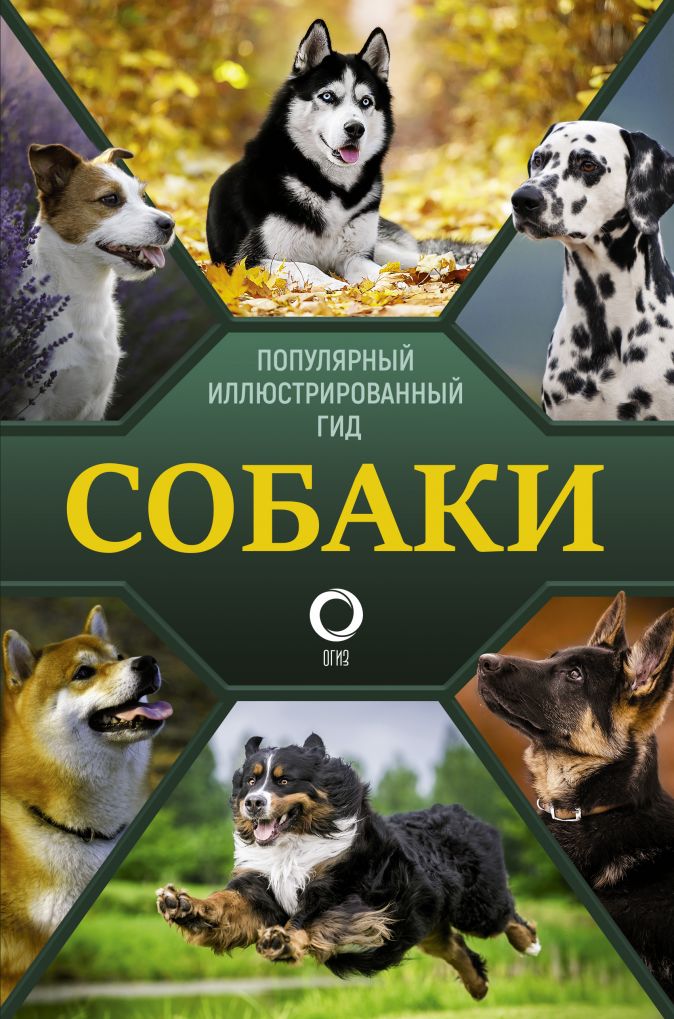 

Собаки. Популярный иллюстрированный гид