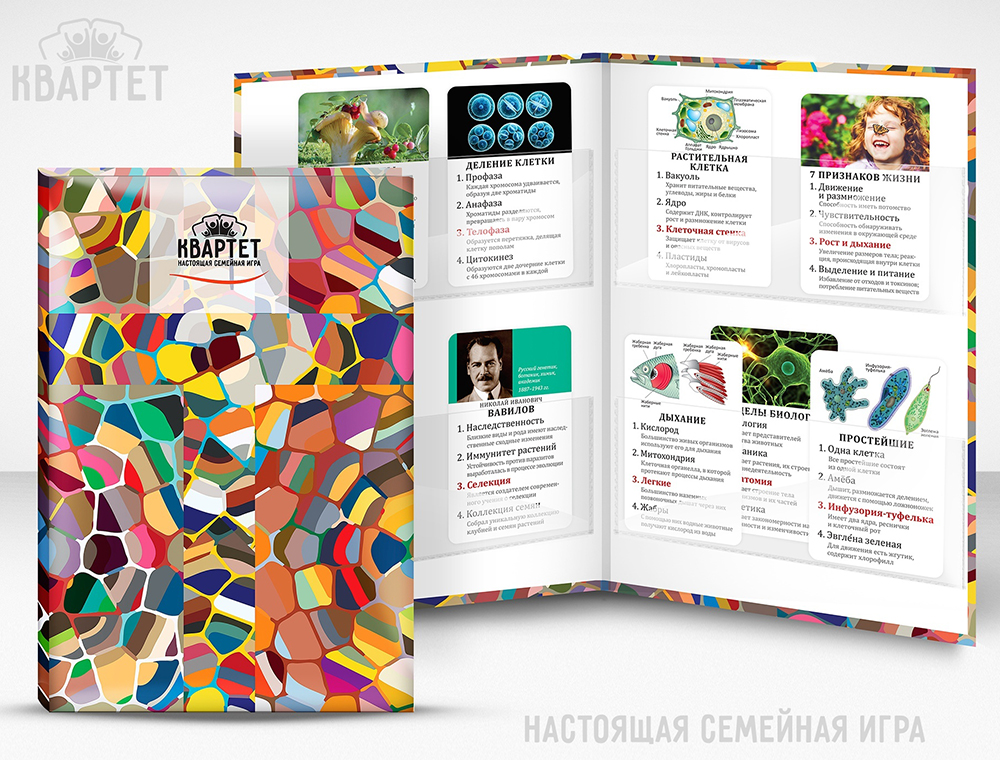 

Папка для игры в Квартет