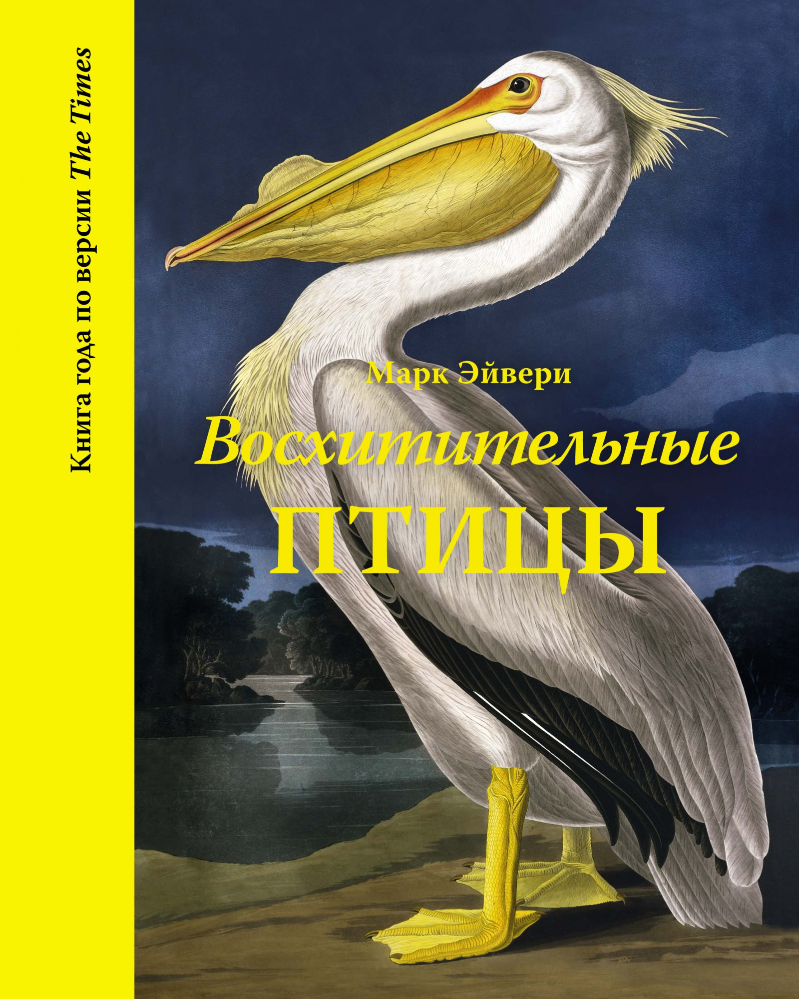 Картинки на телефон денежный пеликан