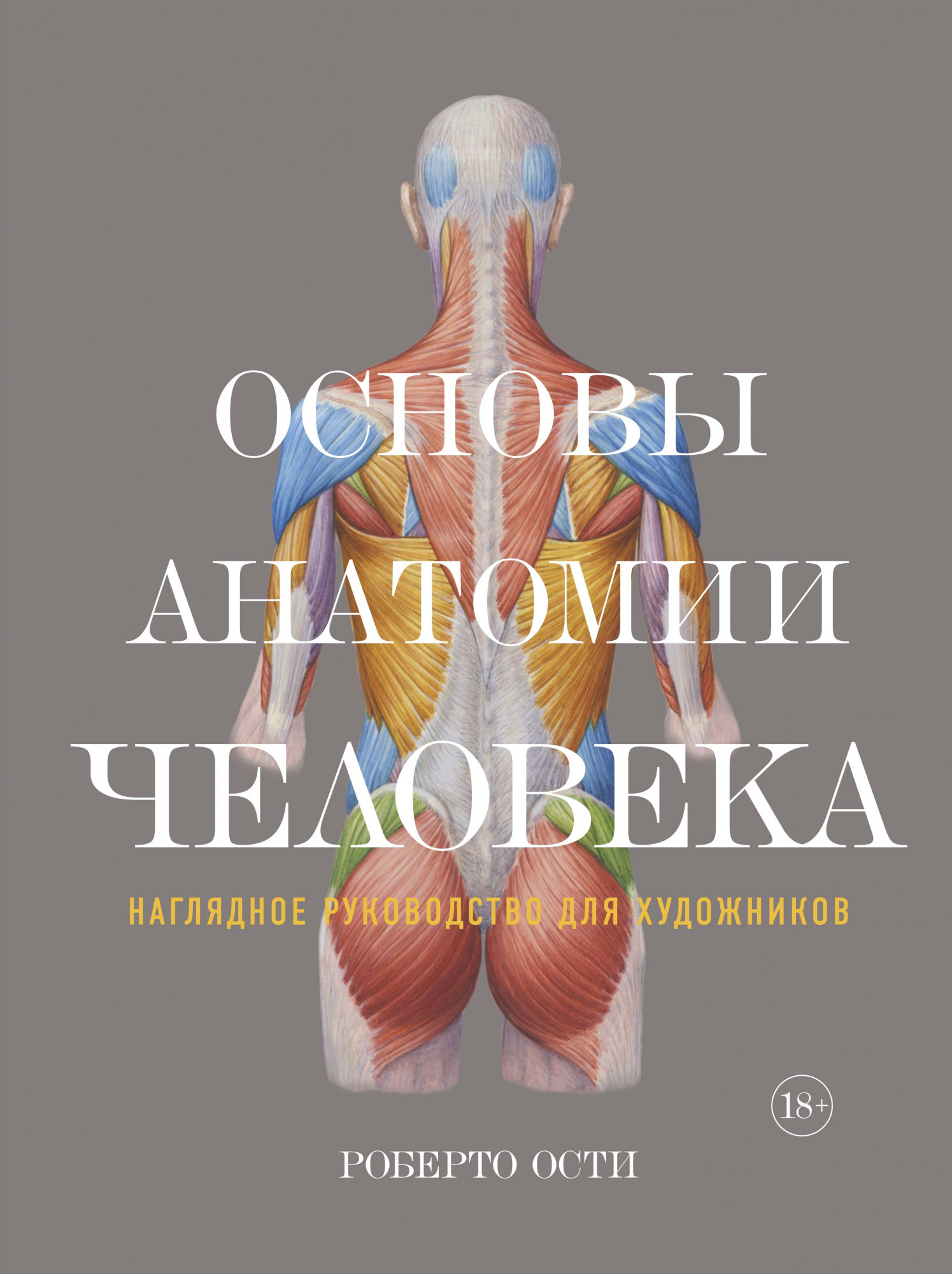

Основы анатомии человека: Наглядное руководство для художников