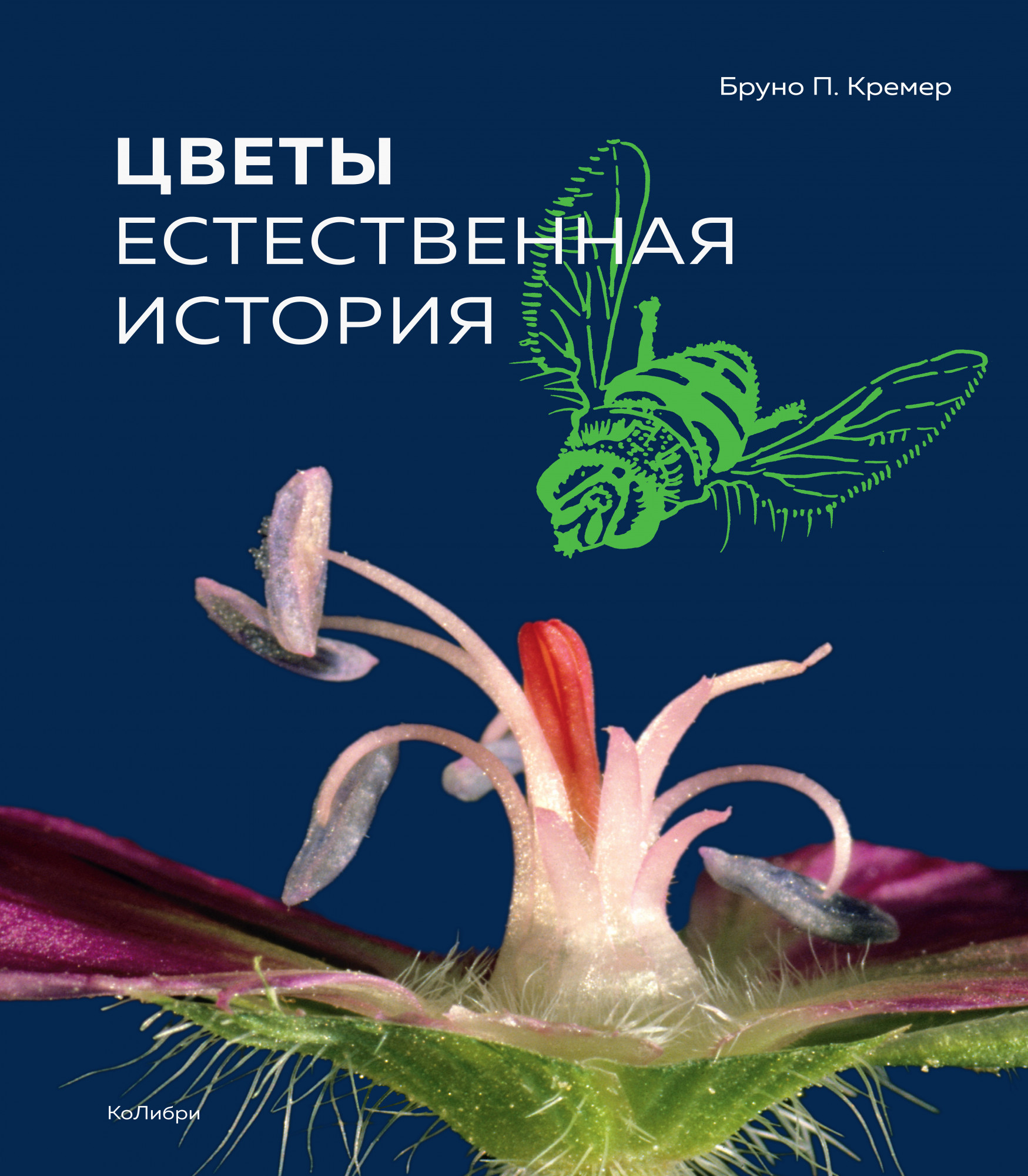 

Цветы: Естественная история