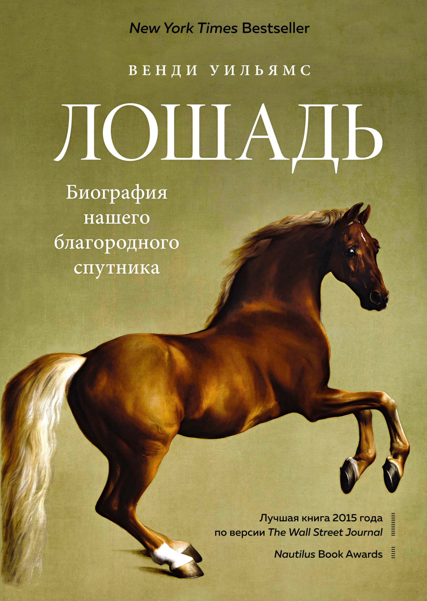 Книги верховая. Книга лошадь биография нашего благородного спутника. Уильямс, в. лошадь : биография нашего благородного спутника.